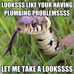 Looks-Like-Your-Having-Plumbing-Problems-Let-Me-Take-A-Looks-Funny-Snake-Meme-Image.jpg
