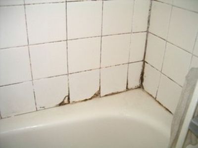 How Stop Mould in a Bathroom: What to Do If You Discover It in Shropshire_22